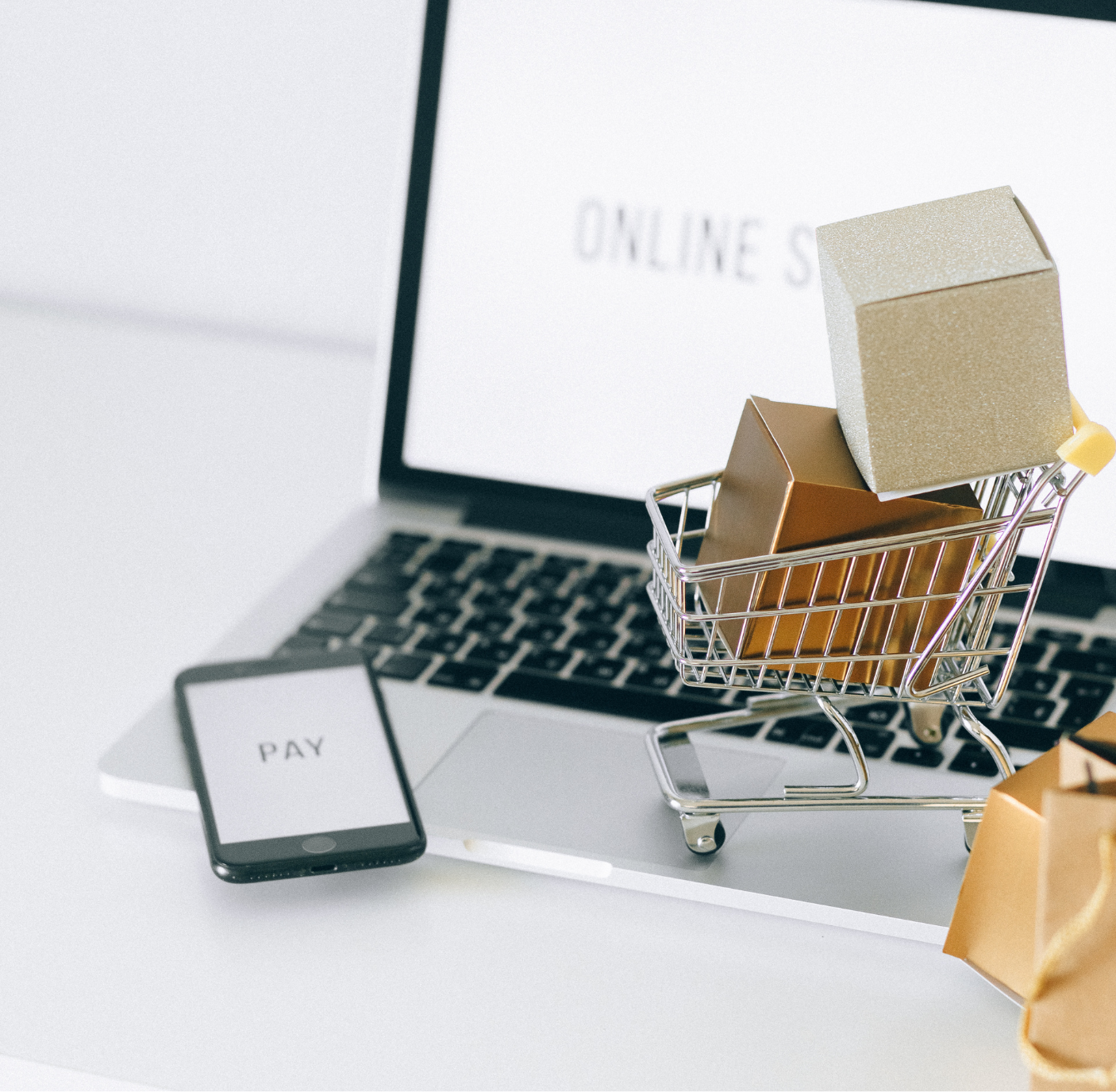 Website Design